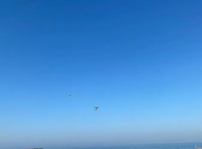 게스트하우스 & Sea 에스피뇨