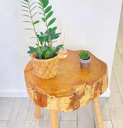 게스트하우스 & Sea